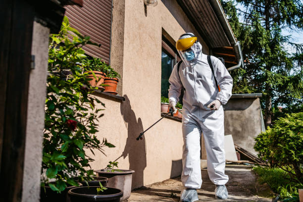 Wasp Removal Services in Shawnee, OK