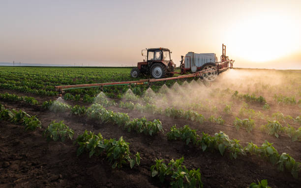 Best Pest Removal Services  in Shawnee, OK