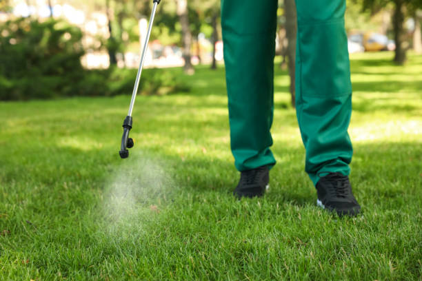 Best Pest Inspection Near Me  in Shawnee, OK