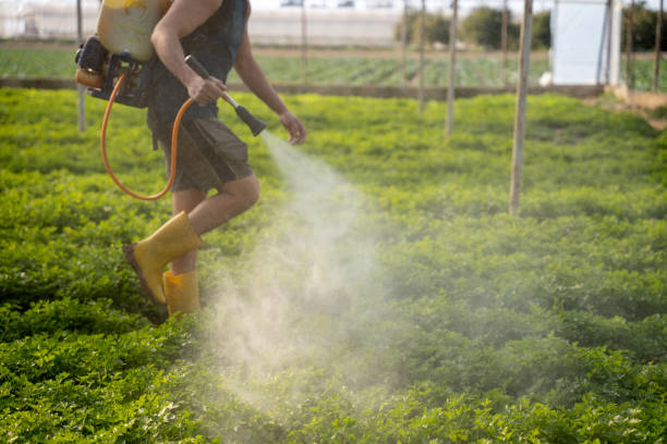 Best Pest Removal Services  in Shawnee, OK