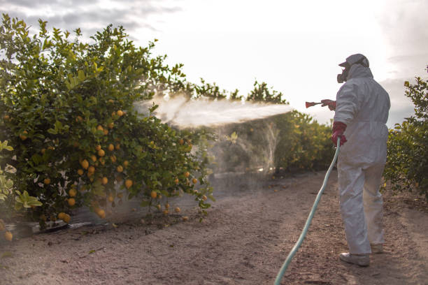 Best Best Pest Control Companies  in Shawnee, OK