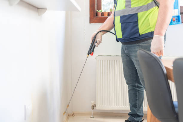 Best Flea Control Services  in Shawnee, OK