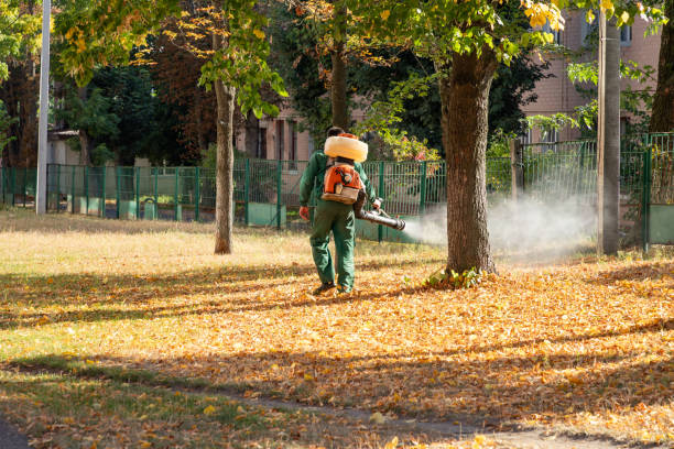 Pest Control for Restaurants in Shawnee, OK