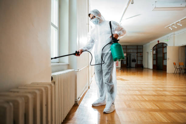 Best Wasp Removal Services  in Shawnee, OK