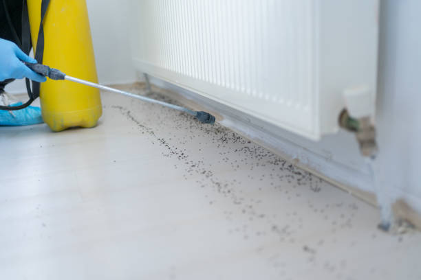 Trusted Shawnee, OK Pest Control Experts