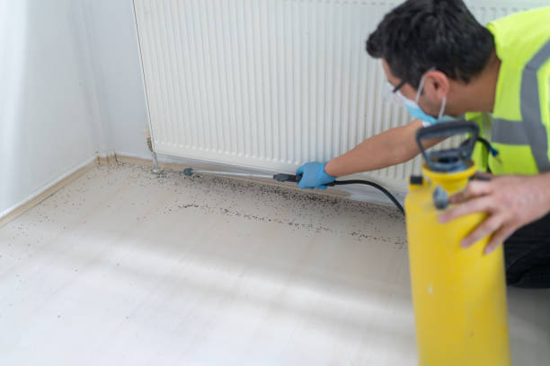 Best Affordable Pest Control Services  in Shawnee, OK