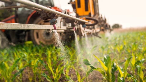 Best Commercial Pest Control Services  in Shawnee, OK